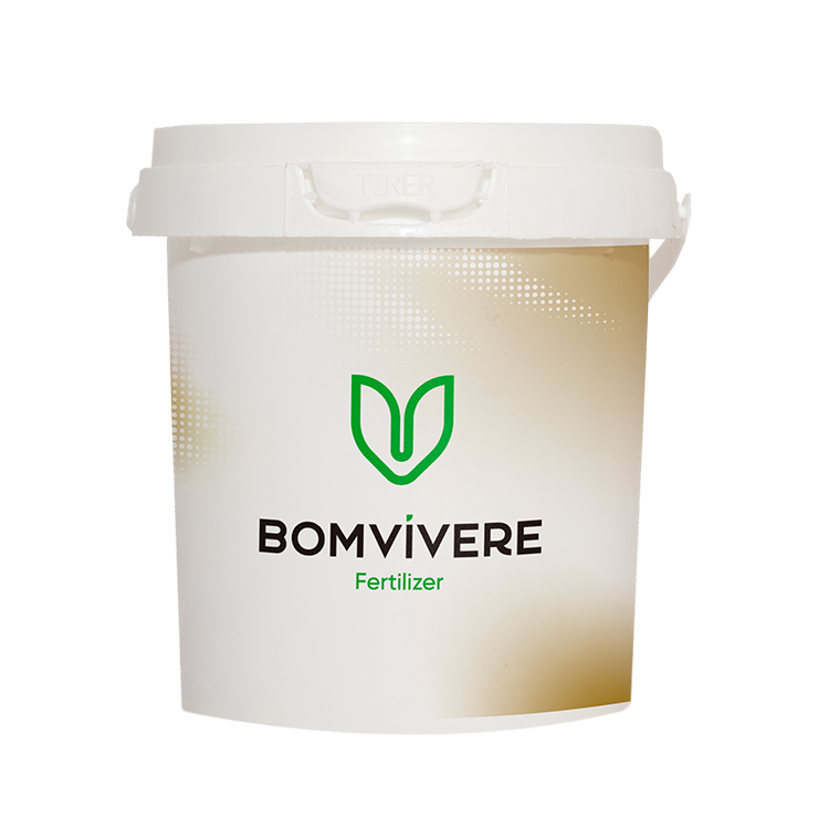bomvivere final bomvivere final