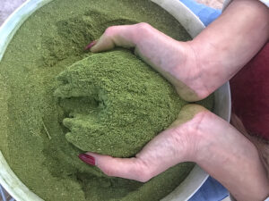 moringa en polvo_